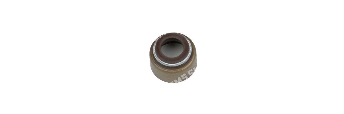 SEAL Valve Stem