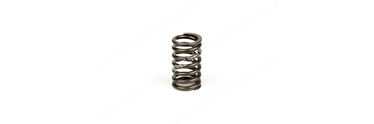 VALVE SPRING