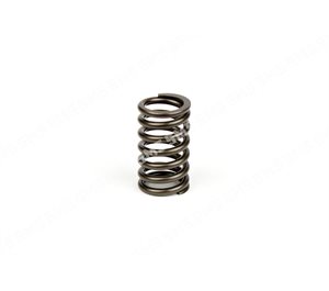 VALVE SPRING