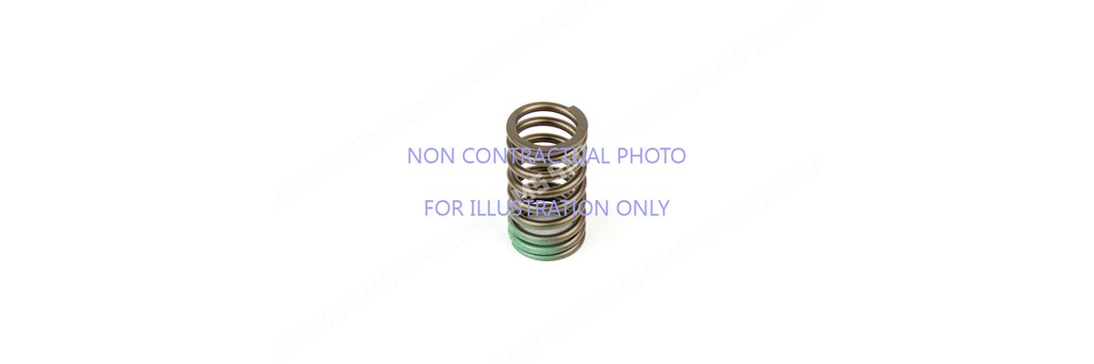 VALVE SPRING