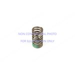 VALVE SPRING