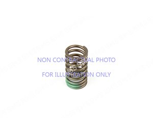 VALVE SPRING