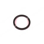 OIL SEAL Rear Main (genuine)