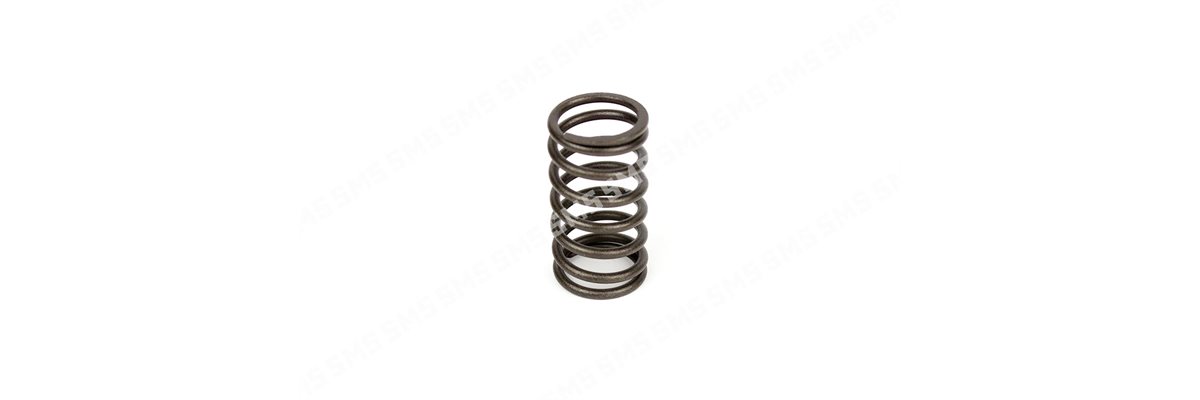 VALVE SPRING Inner