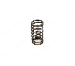 VALVE SPRING Inner