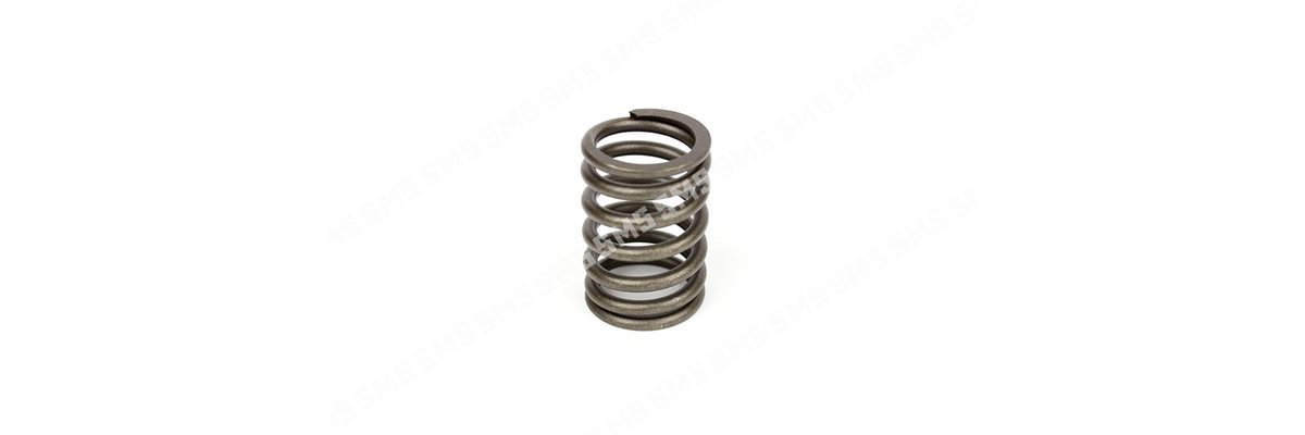 VALVE SPRING Outer