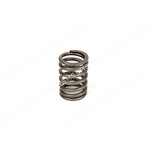 VALVE SPRING Outer