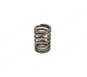 VALVE SPRING Outer