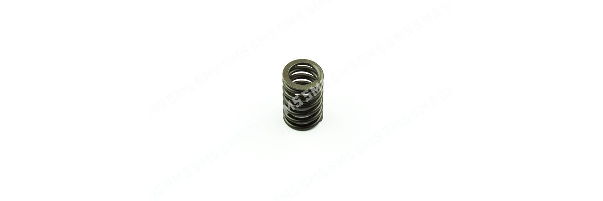 VALVE SPRING