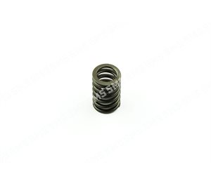 VALVE SPRING