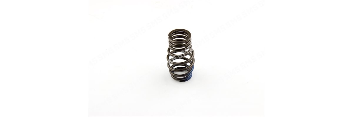 VALVE SPRING Outer (barrel)