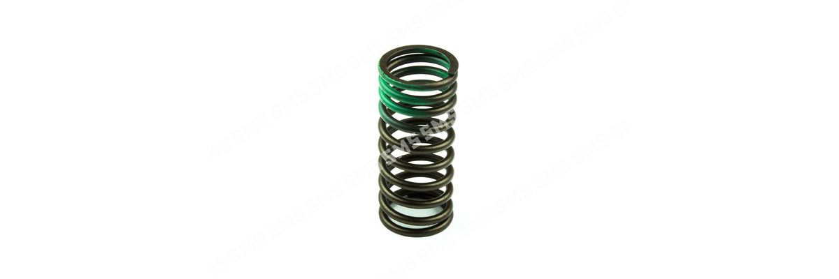 VALVE SPRING Inner