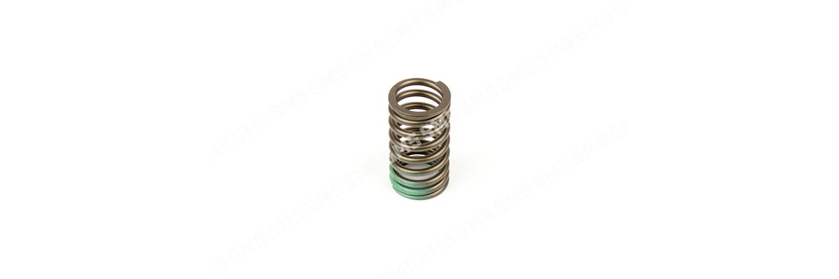 VALVE SPRING Outer (parallel)