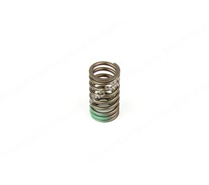 VALVE SPRING Outer (parallel)