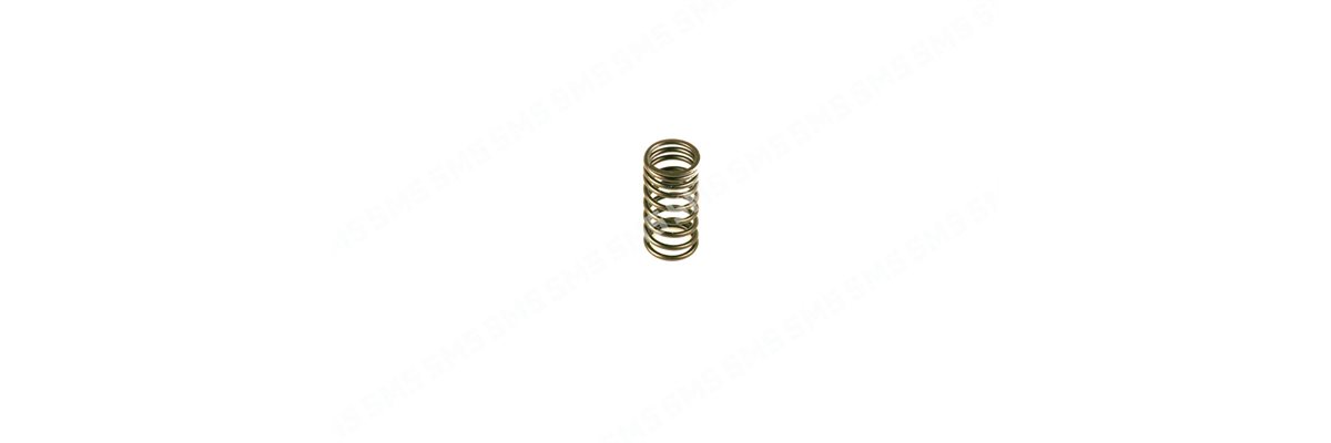 VALVE SPRING Inner