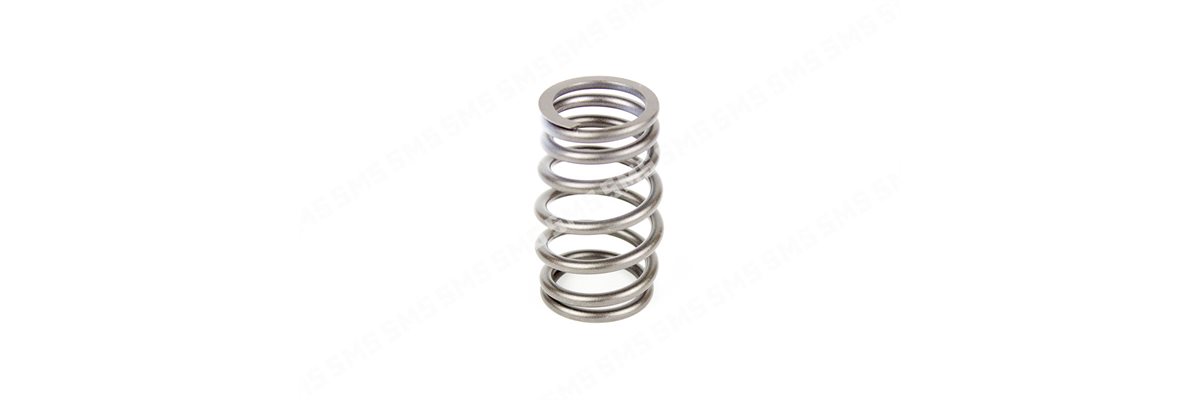 VALVE SPRING Outer (barrel)