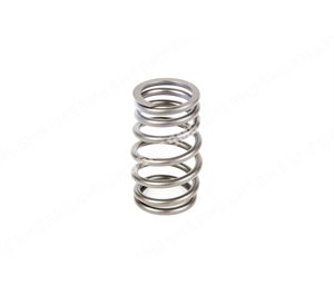 VALVE SPRING Outer (barrel)