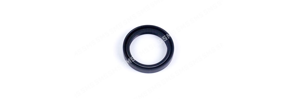 OIL SEAL Rear Main (early type)