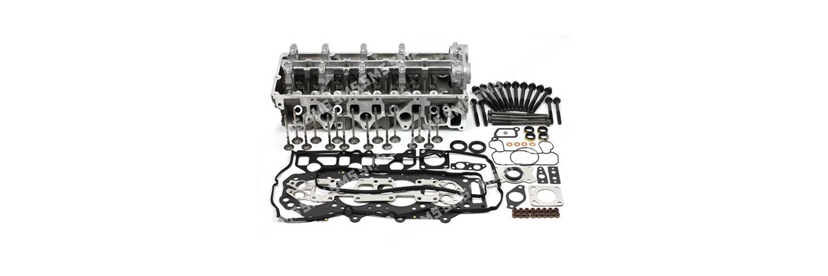 CYLINDER HEAD KIT (with valves) AMC Head