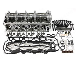 CYLINDER HEAD KIT (with valves) AMC Head