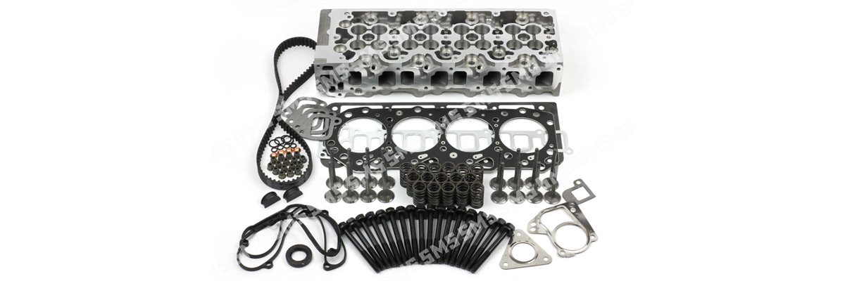 CYLINDER HEAD KIT (with valves)