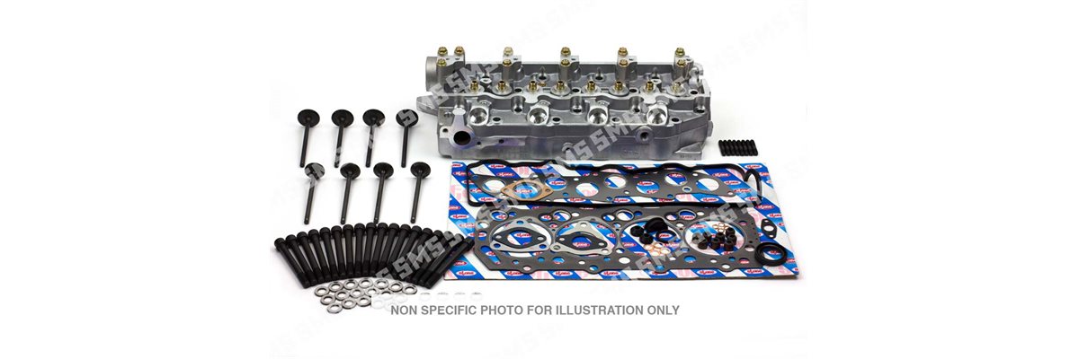 CYLINDER HEAD KIT (with valves) AMC (Valves protrude above head)