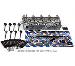 CYLINDER HEAD KIT (with valves) AMC (Valves protrude above head)