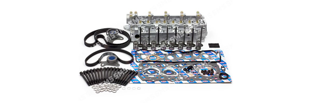 CYLINDER HEAD KIT (with valves, springs and belts)(Valves below head)