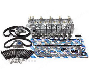 CYLINDER HEAD KIT (with valves, springs and belts)(Valves below head)