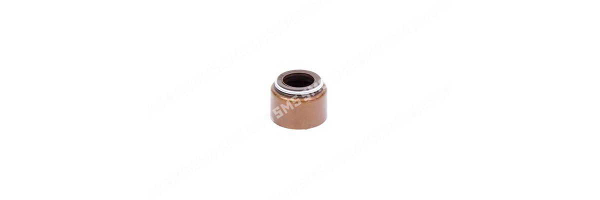 SEAL Valve Stem